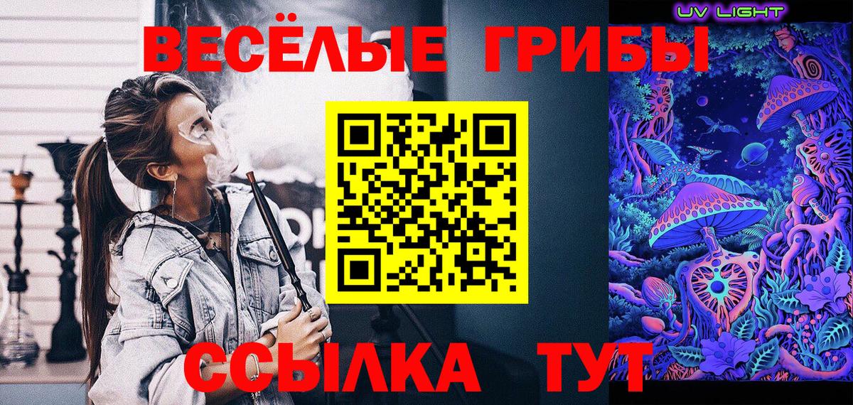 как найти закладки  Галлюциногенные грибы прущие грибы  Галлюциногенные грибы мухоморы  Вход с VPN  Ишим 